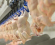 Ticaret Bakanlığı'nın tavuk eti kısıtlamasına CHP'den tepki