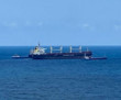 Bakanlık harekete geçti! Ukrayna’dan Mısır’a gıda taşıyan gemi arızalandı