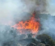 Çanakkale'de çıkan yangın, Assos Antik Kenti'ne sıçradı