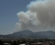 İzmir Bornova'da orman yangını çıktı