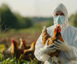 Kuş gribi H5N1'in tek bir mutasyonu yeni bir pandemiye neden olabilir