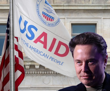 Elon Musk DOGE müfettişlerini binaya almayan ABD Dış Kalkınma Ajansı USAID'in yok olması gerektiğini söyledi