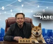 İşte 10 soruda Elon Musk’ın DOGE’si