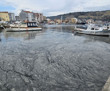 Marmara Denizi'ndeki müsilajın azaltılması için ileri biyolojik arıtma tavsiyesi