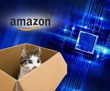 Amazon, 'kedi kübiti' destekli çipi ile kuantum yarışına katılıyor