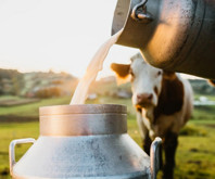 Ulusal Süt Konseyi'nden 14,65 TL kararı