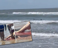 ABD'de halk plajında köpekbalığı dehşeti: 4 yaralı