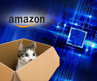 Amazon, 'kedi kübiti' destekli çipi ile kuantum yarışına katılıyor