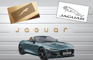 Jaguar kediyi bıraktı yazıya geçti