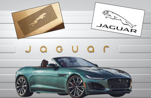 Jaguar kediyi bıraktı yazıya geçti