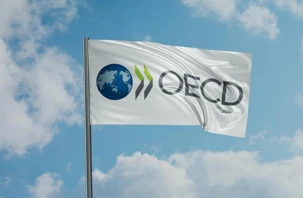 OECD, Türkiye için enflasyon beklentisini yükseltti