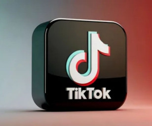 TikTok'a Türkiye'de 'IDN' önlemi