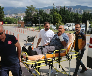 İstanbul'da kurban kesiminde ilk gün bilançosu: 513 kişi hastanelik oldu