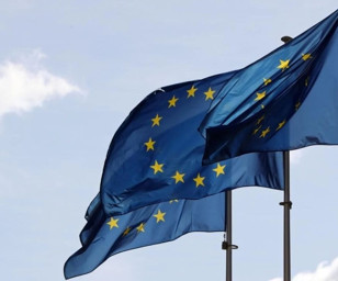 Avrupa Konseyi yedi üye ülkeye karşı aşırı mali açık prosedürlerini başlattı
