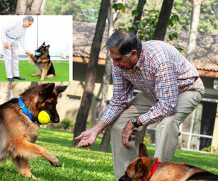 Ratan Tata, servetini köpeğine bıraktı