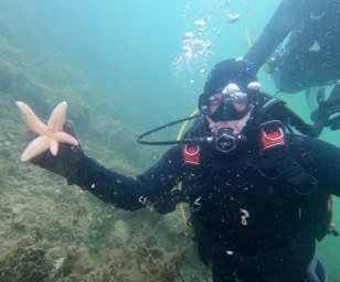 Dalgıçlar Marmara Denizi'nde 18 metre derinlikte yoğun müsilaj tabakasına rastladı