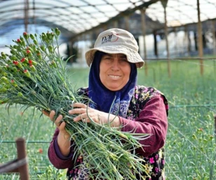 Antalya, 8 Mart Dünya Kadınlar Günü için 80 milyon dal çiçek ihraç ederek 9-10 milyon dolar gelir bekliyor, kırmızı karanfil en çok talep gören çiçek