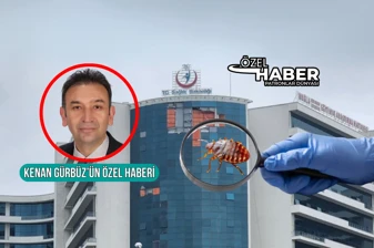 Tahta kurularının istila ettiği Muğla Eğitim ve Araştırma Hastanesi’nde iki servis ilaçlama için kapatıldı, fizik tedavi hizmeti durduruldu