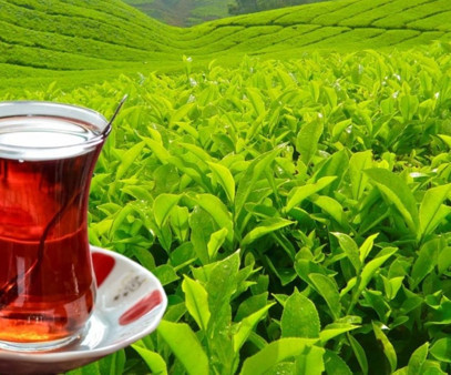 Rize'nin 3 aylık çay ihracatı yüzde 72 arttı