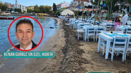 Belediye Başkanı yasak demişti ama şezlong ağaları 3 ay içinde plajı yeniden kapattı