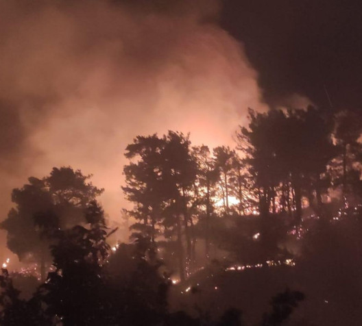 Muğla'da iki ilçede orman yangını çıktı