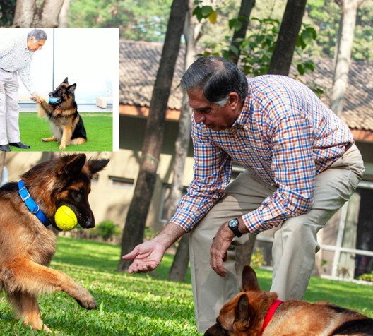 Ratan Tata, servetini köpeğine bıraktı