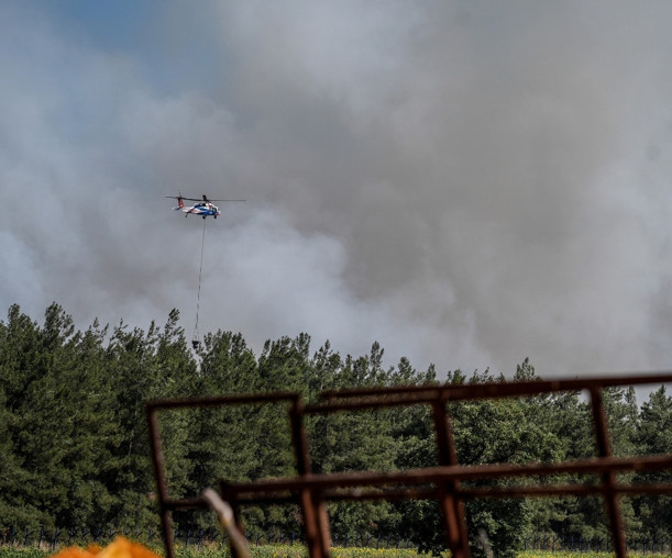 Bursa'da makilik alanda çıkan yangın ormana sıçradı