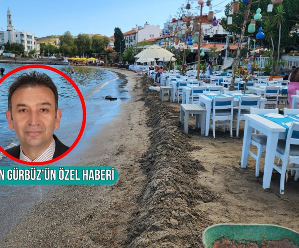 Belediye Başkanı yasak demişti ama şezlong ağaları 3 ay içinde plajı yeniden kapattı