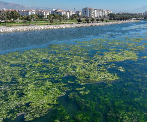 Körfezdeki kirliliğe karşı Bakanlıktan 'İzmir için nefes' projesi