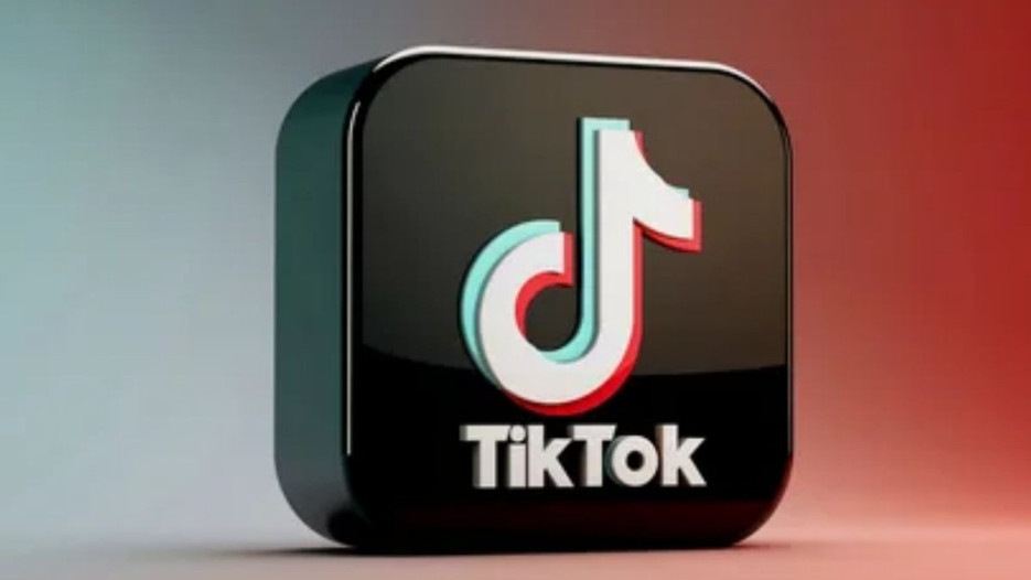 TikTok'a Türkiye'de 'IDN' önlemi