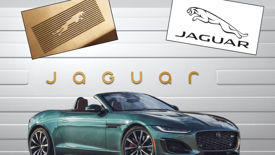 Jaguar kediyi bıraktı yazıya geçti