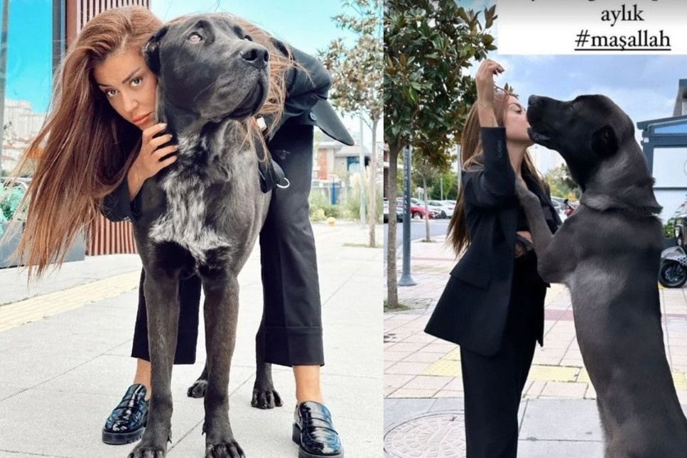 Fenomen Banu Parlak'ın köpeği 'Drago' lüks sitede dehşet saçtı