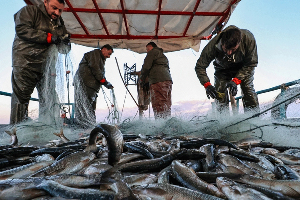 Türk balıkçısından Çin pazarına çıkarma