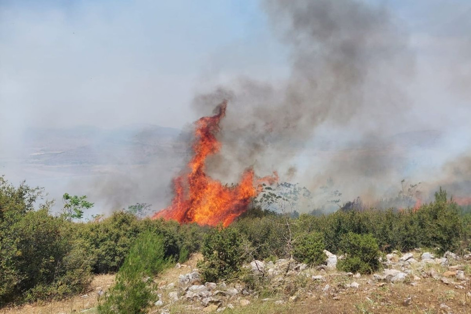 Bergama ve Kula'da orman yangını