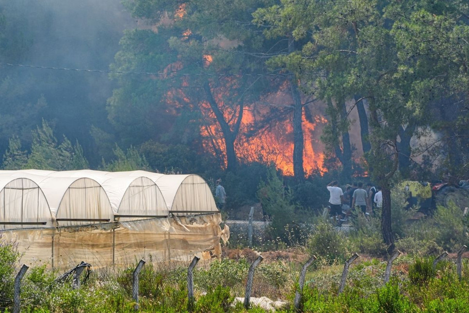 İzmir'de korkutan orman yangını: Ekipler müdahale ediyor