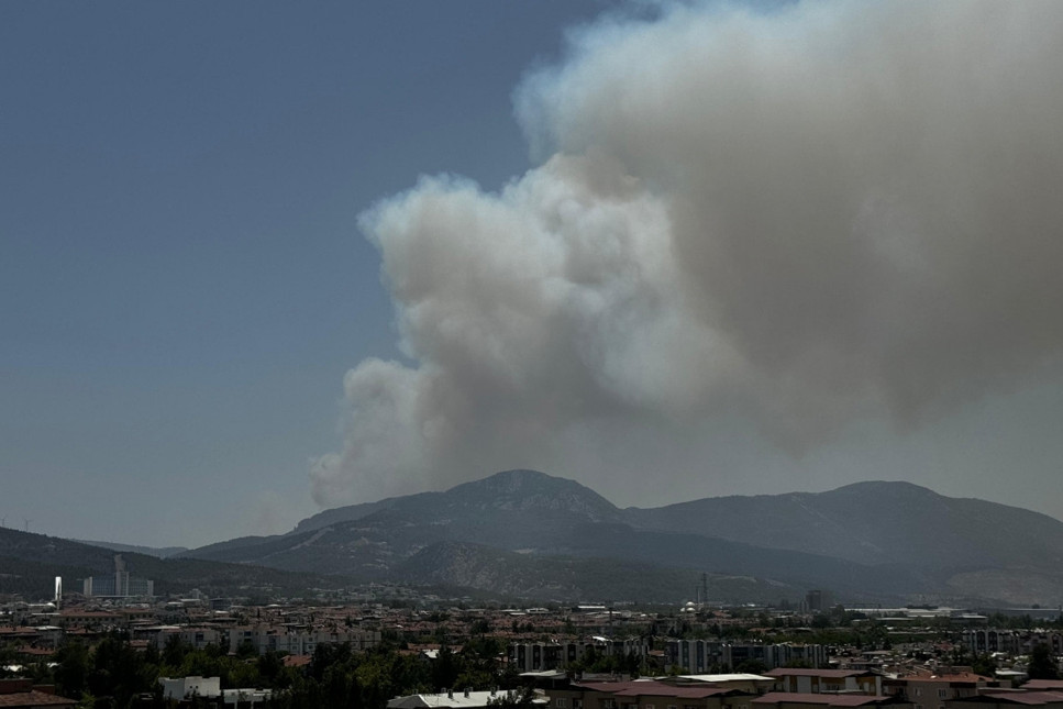 İzmir Bornova'da orman yangını çıktı