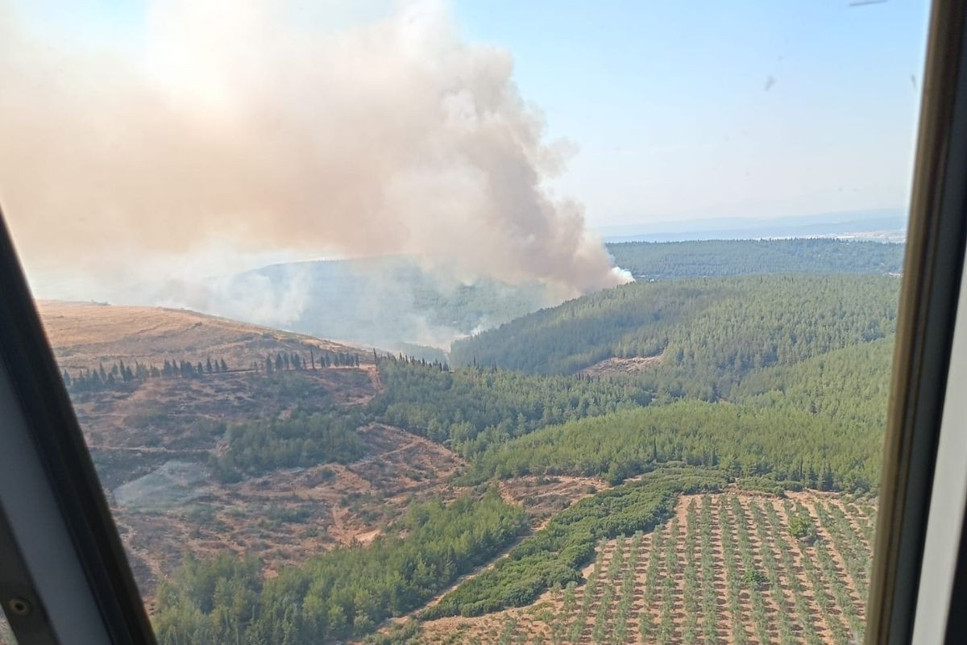 İzmir'in Menderes ilçesinde orman yangını çıktı