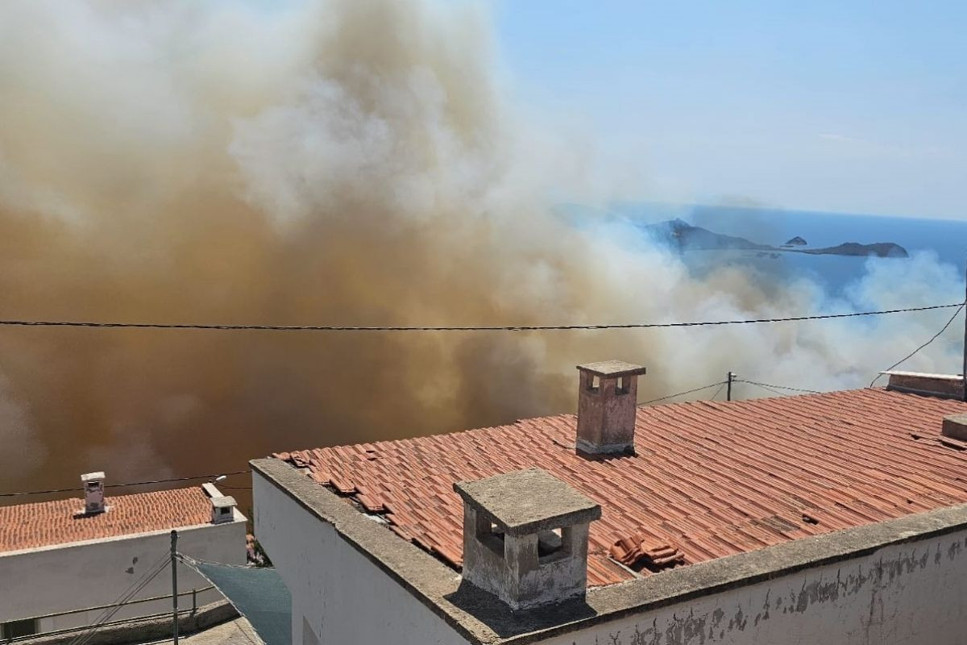 İzmir Dikili'de çıkan orman yangınına müdahale ediliyor