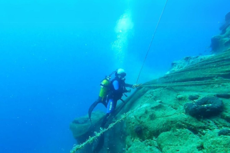 Yavru deniz kaplumbağasını hayata döndüren kurtarma operasyonu