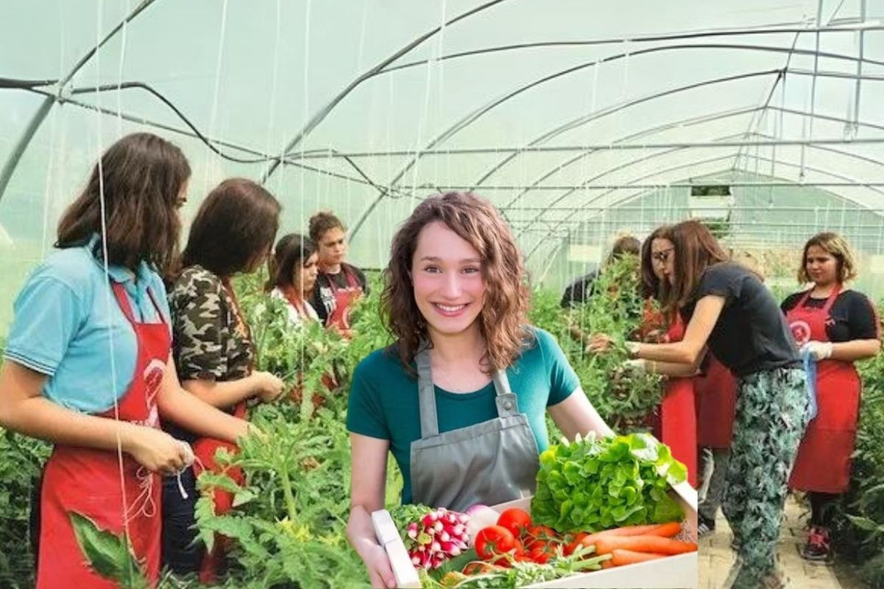 Üniversiteden mezun olup ata toprağına dönüyorlar: Doktoralı çiftçiler tarlada