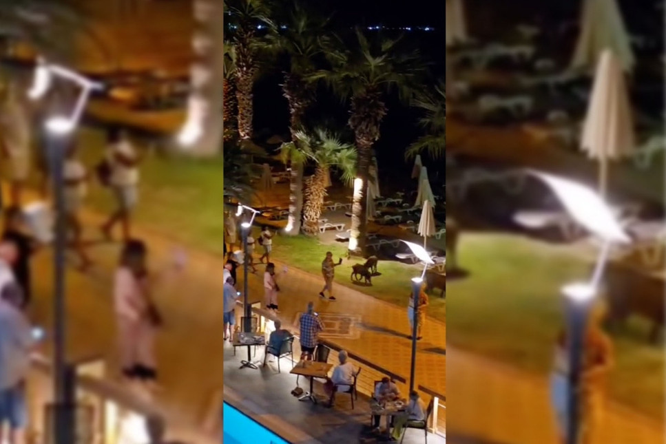 Marmaris’in domuzları 5 yıldızlı otele indi