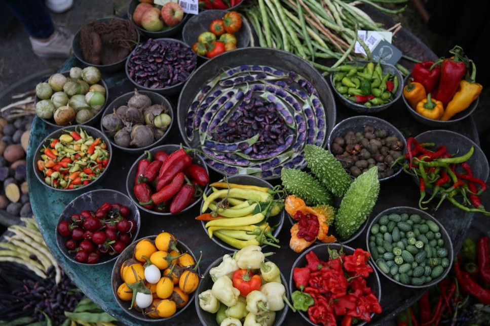 Tarih, kültür ve gastronomi 4. Rize Gastronomi Günleri'nde buluştu