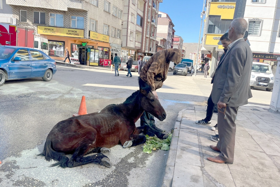 Açlıktan bitkin düşen atı vatandaşlar kurtardı