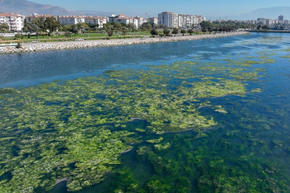 Körfezdeki kirliliğe karşı Bakanlıktan 'İzmir için nefes' projesi