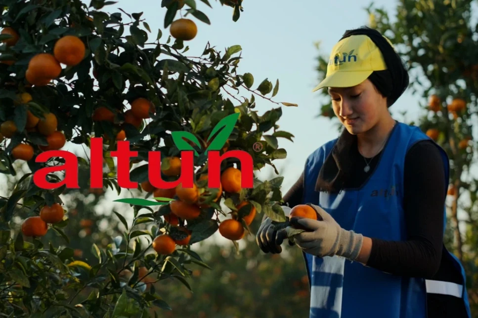 Halka arz için başvuru yapan Altun Gıda yeni satın almalarla büyüyecek