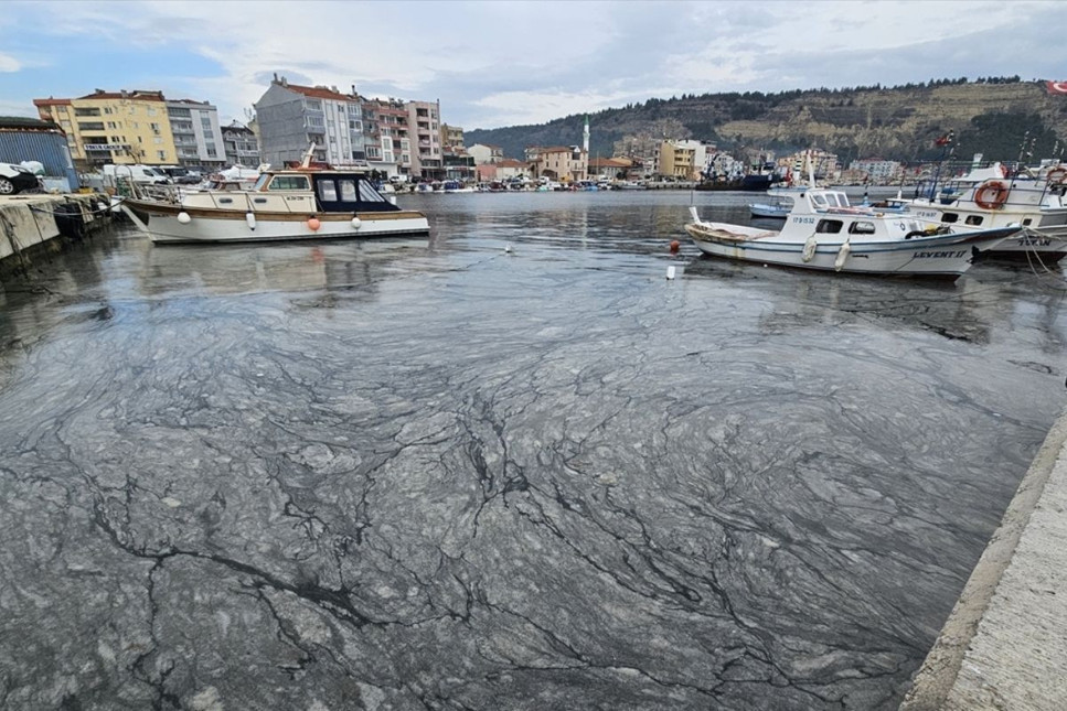 Marmara Denizi'ndeki müsilajın azaltılması için ileri biyolojik arıtma tavsiyesi