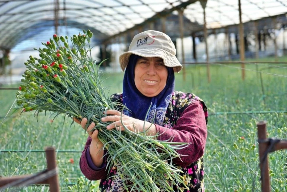 Antalya, 8 Mart Dünya Kadınlar Günü için 80 milyon dal çiçek ihraç ederek 9-10 milyon dolar gelir bekliyor, kırmızı karanfil en çok talep gören çiçek