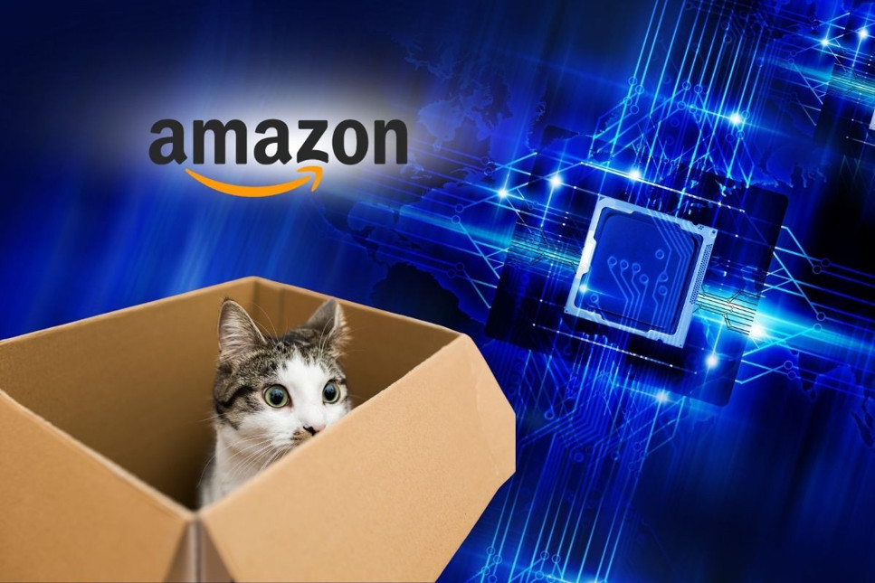 Amazon, 'kedi kübiti' destekli çipi ile kuantum yarışına katılıyor