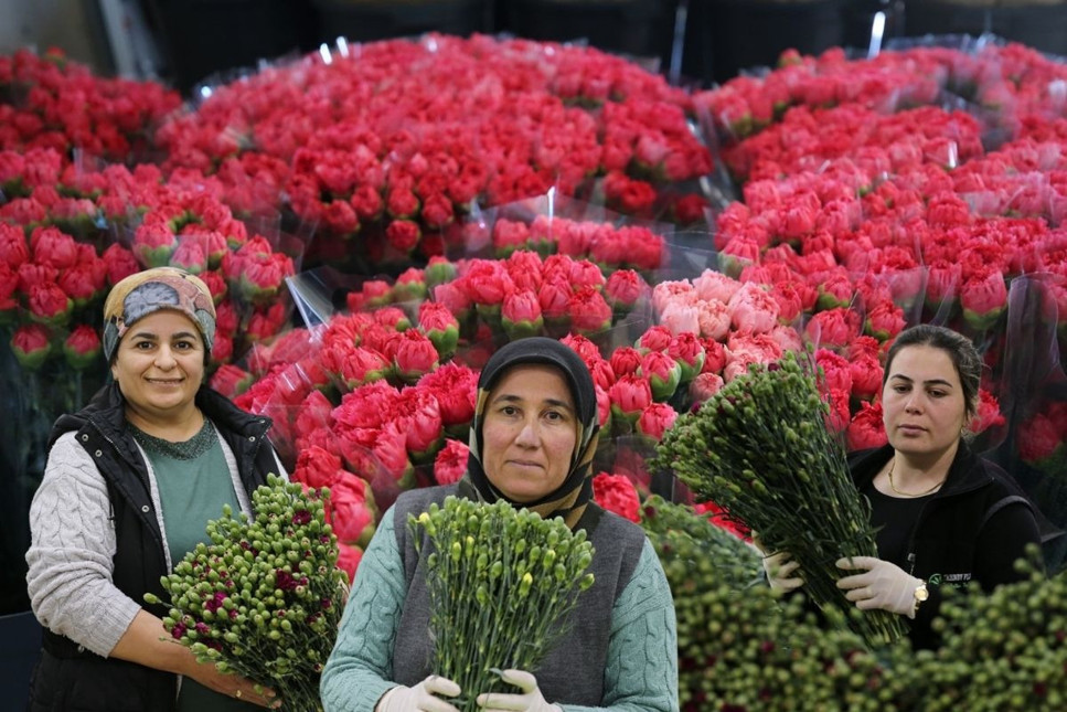 8 Mart Dünya Kadınlar Günü nedeniyle Türkiye’den 34 ülkeye 9 milyon dolarlık çiçek ihracatı