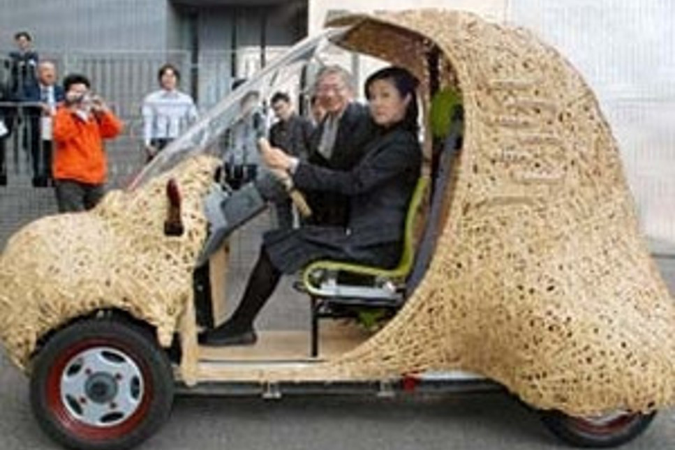 Bambu ağacından elektrikli otomobil
